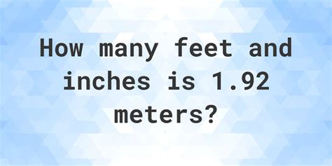 1.92 Meters to Feet 